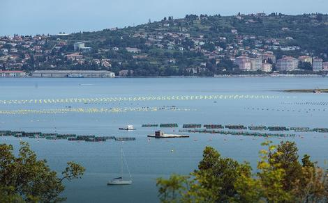 Odločitev o Piranskem zalivu: Hrvaška vendarle ni oškodovana, Slovenija prikrajšana glede pomembnih zahtev!