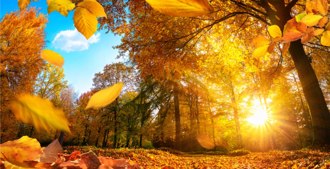 Meteorologi napovedujejo lepo vreme v Evropi do konca leta