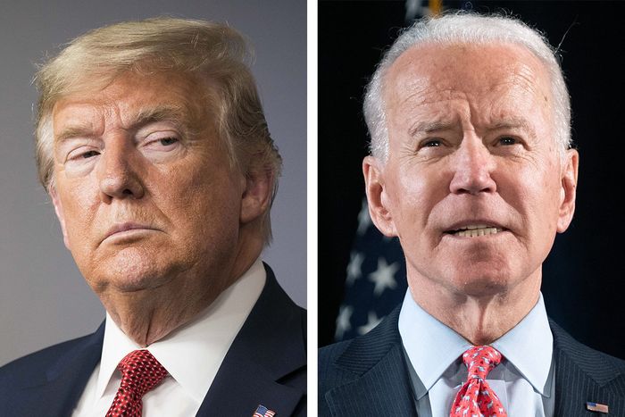 Trump spet napada: Joe Biden je “nor” in to vsi vedo